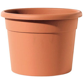 Terracotta Pot