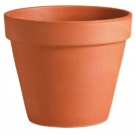 Terracotta Pot