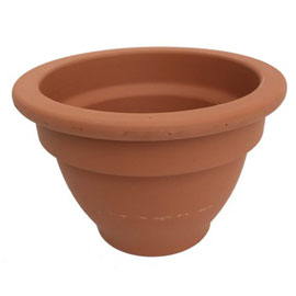 Terracotta Pot